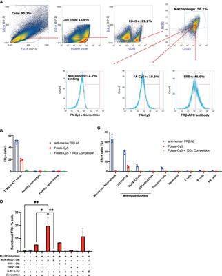 Tumor-specific activation of folate receptor beta enables reprogramming of immune cells in the tumor microenvironment